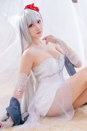 孪生公主记