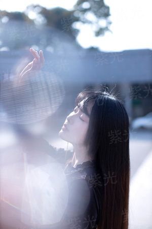 Jose与虎与鱼们[电影解说]